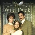 Photo The Wild Duck