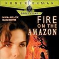 Photo Fire on the Amazon