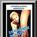Photo L'araignée de satin