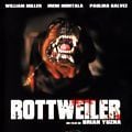 Photo Rottweiler