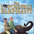 Photo Un éléphant à la maison