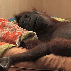 Photo Patrick Rouxel