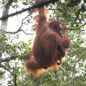 Photo Patrick Rouxel