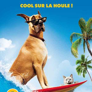 Photo Marmaduke