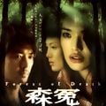 Photo Forest Of Death