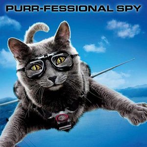 Photo Comme chiens et chats - La Revanche de Kitty Galore