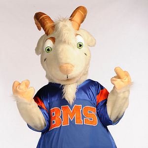 Photo Chris Romano (II)