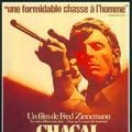 Photo Chacal