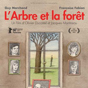 Photo L'Arbre et la forêt