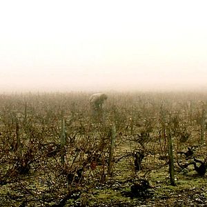 Photo Pascal Boucher