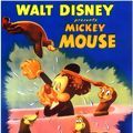 Photo Mickey et le Phoque
