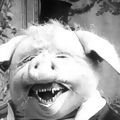 Photo Le cochon danseur