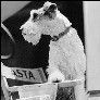 Photo Asta (II)