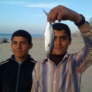 Photo Aisheen (chroniques de Gaza)