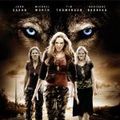 Photo War Wolves