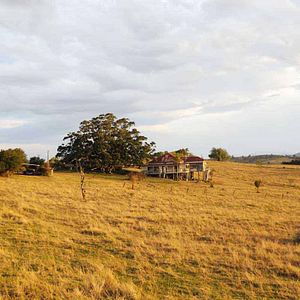 Photo Julie Bertuccelli