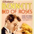 Photo Bed of Roses