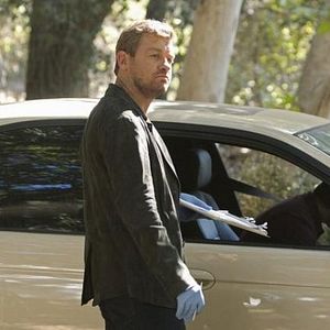 Photo Nicholas Bishop