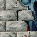 Photo Pink Floyd - Behind The Wall