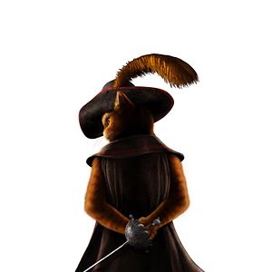 Photo Le Chat Potté