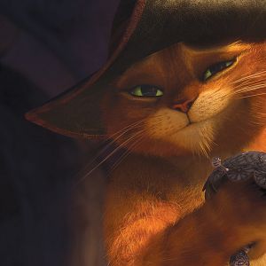 Photo Le Chat Potté
