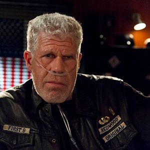 Photo Ron Perlman