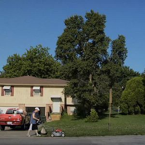 Photo Alain Della Negra