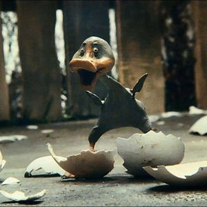 Photo Le Vilain petit canard