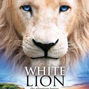 Photo White Lion
