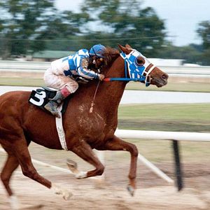 Photo Randall Wallace