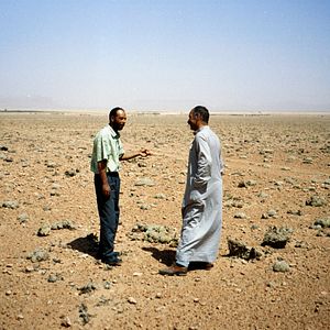 Photo La Pépinière du désert