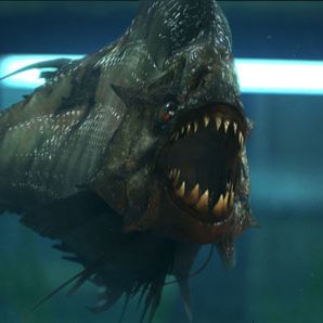 Photo Piranha 3D