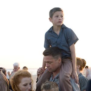 Photo The Tree of Life