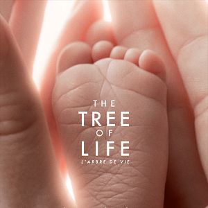 Photo The Tree of Life