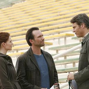 Photo Heather Stephens