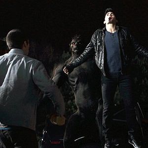 Photo Teen Wolf