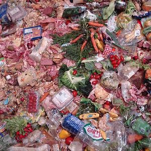 Photo Taste the Waste