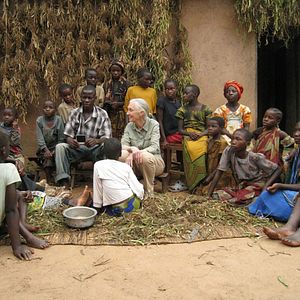 Photo Jane Goodall : retour à Gombe