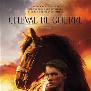 Photo Cheval de guerre