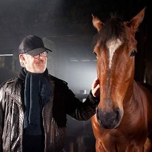 Photo Cheval de guerre