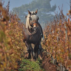 Photo La Clef des Terroirs