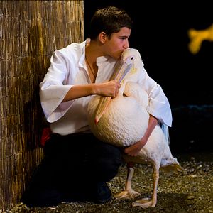 Photo Thibault Le Guellec