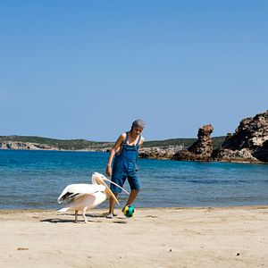 Photo Thibault Le Guellec