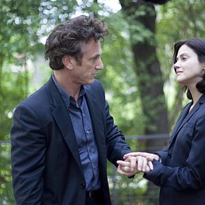 Photo The Tree of Life