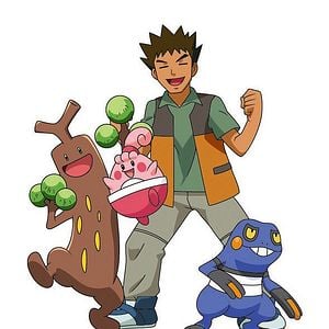 Photo Zoroark, le Maître des Illusions