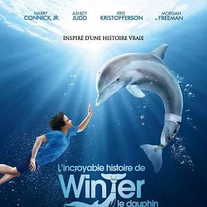 Photo L'Incroyable histoire de Winter le dauphin