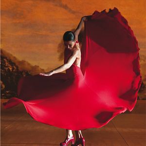 Photo Flamenco, Flamenco