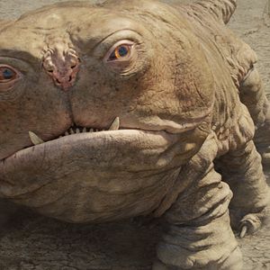 Photo John Carter