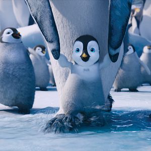 Photo Happy Feet 2