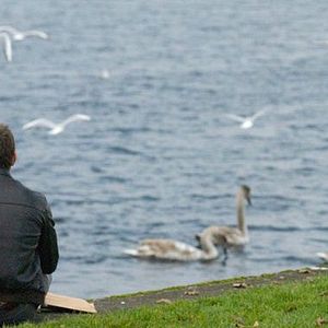 Photo Le Chant du cygne : la ballade d'Occi Byrne